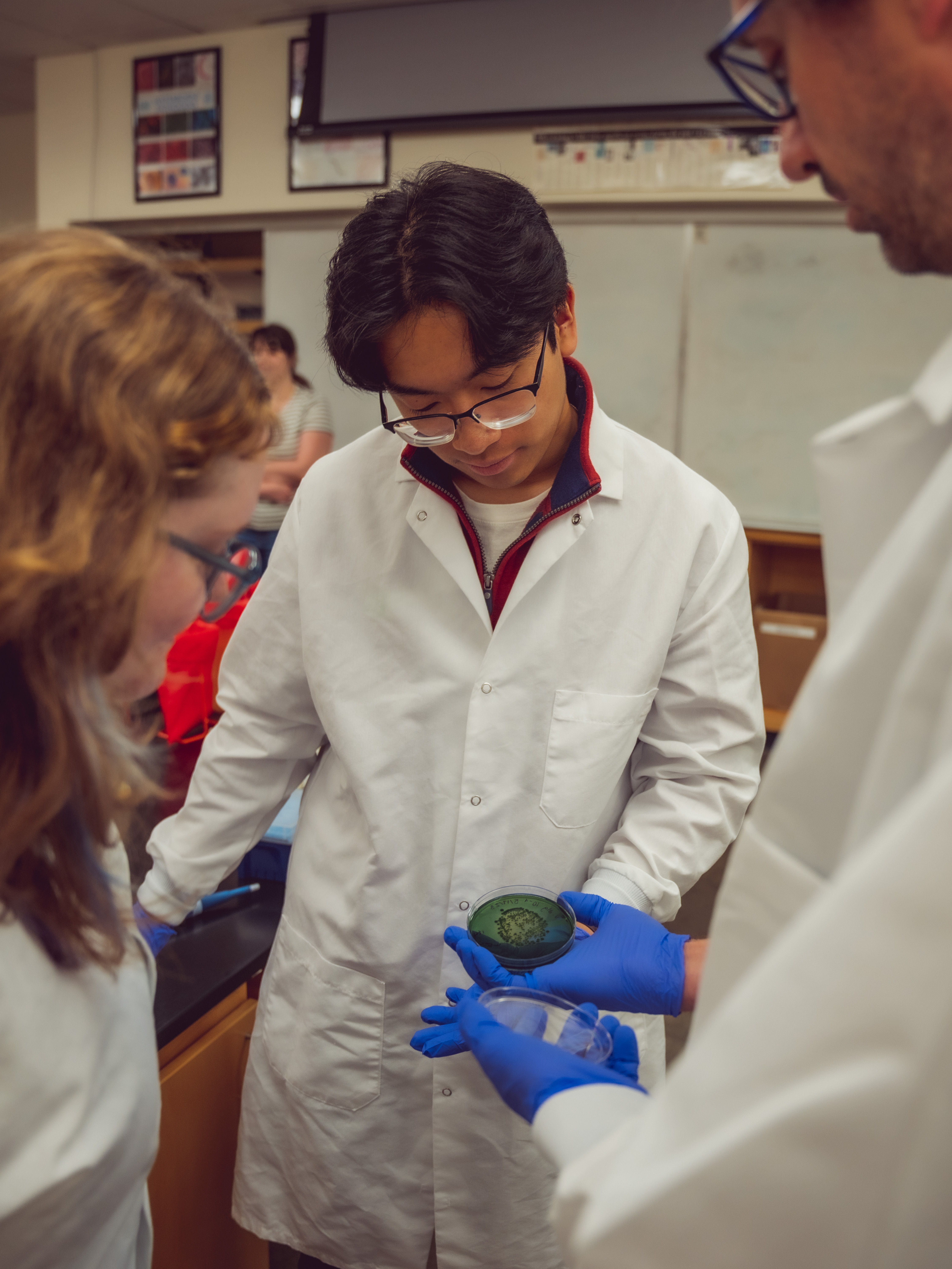 students looking at algae blooms