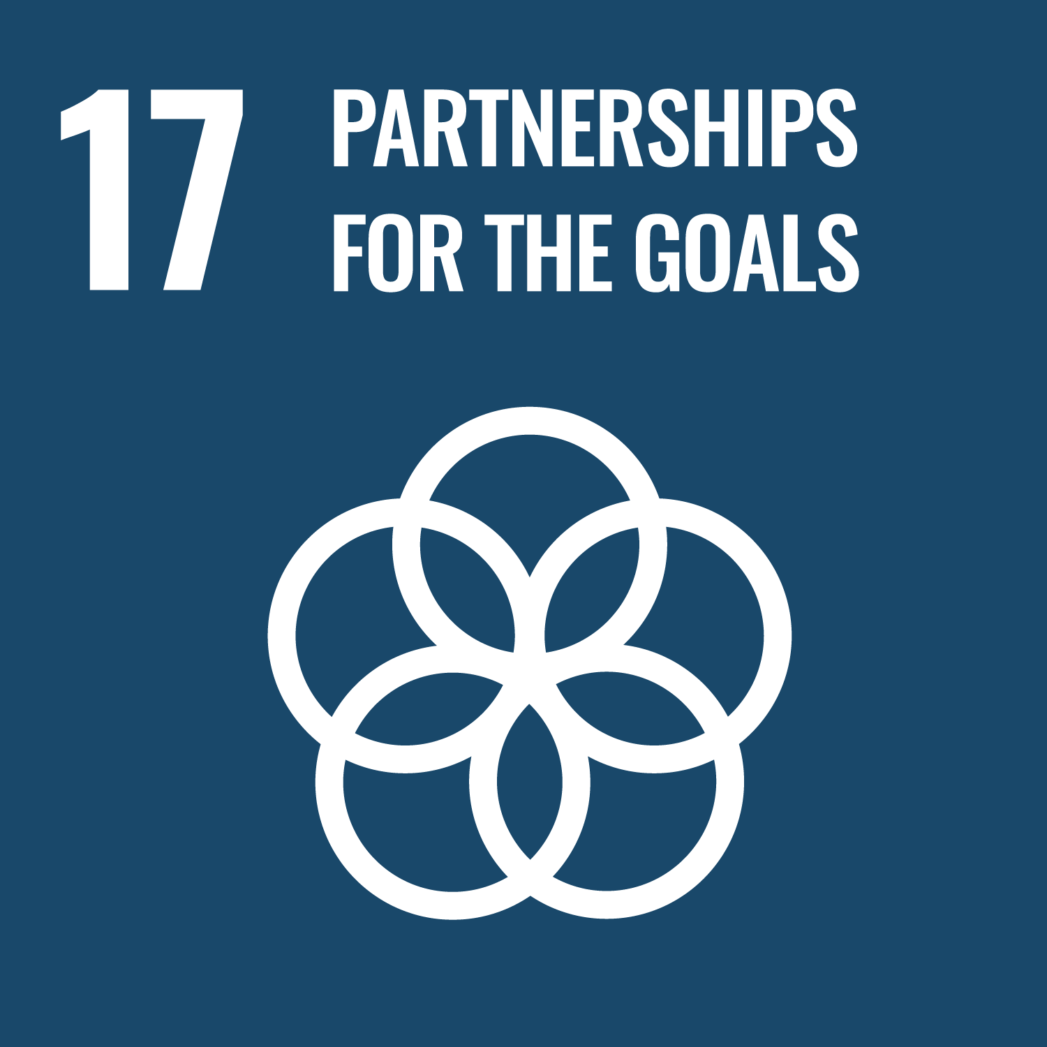 UN sustainable development goal 17 partnerships for the goals