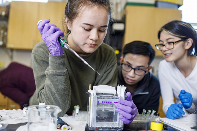 Students in Chemistry Lab