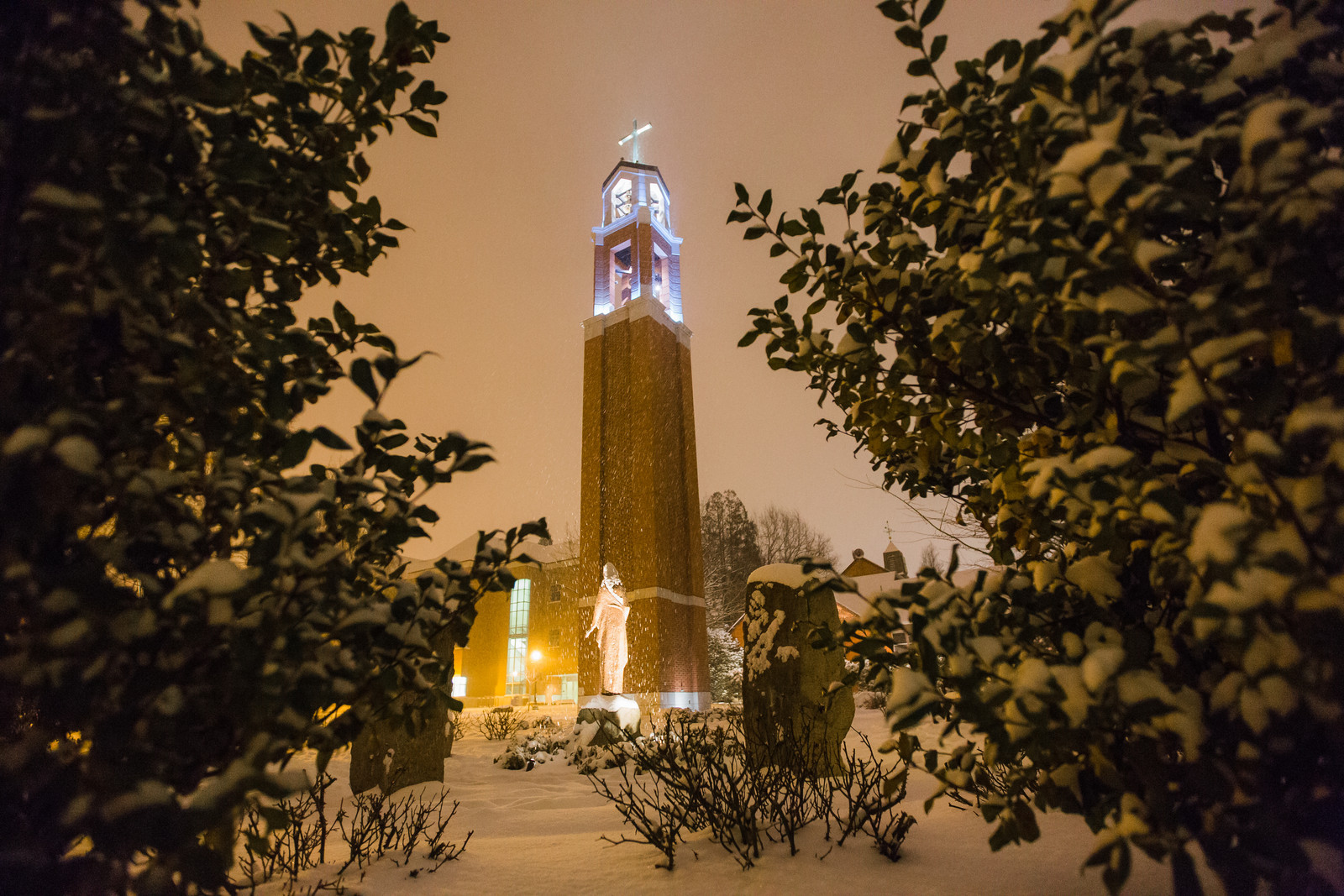 Snowy scene