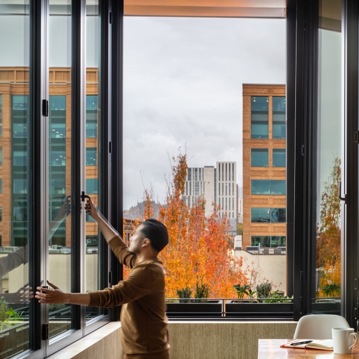 Windows in the Living Building