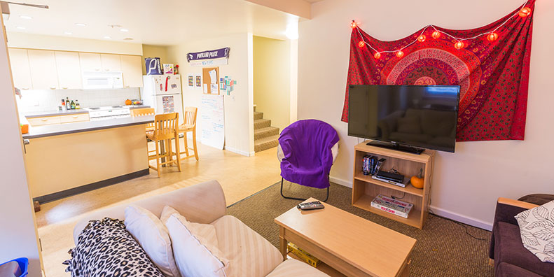 Student Apartment Living Room