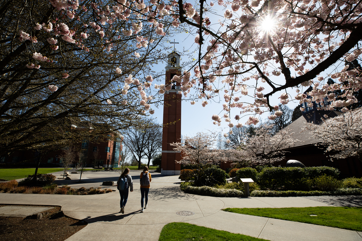 Students walking through campus in the spring.